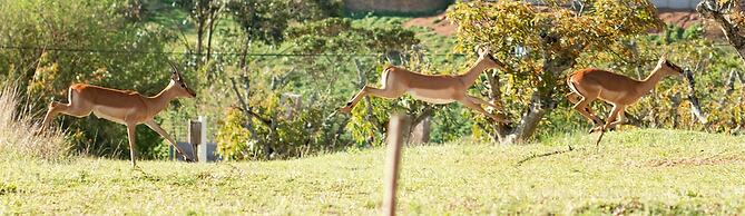 Matusadona Guest Lodge