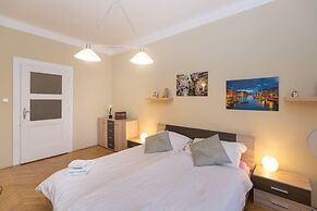 Castle View Spacious Apartment