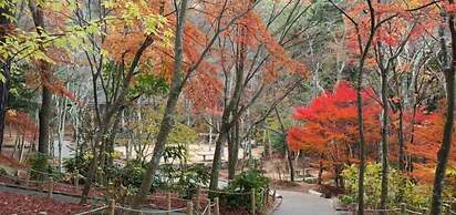 Brücke hostel&cafe ARIMA Kobe