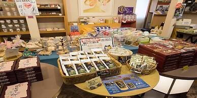 Awazu-Spa Tourist Hotel Kitahachi