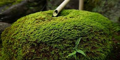 Awazu-Spa Tourist Hotel Kitahachi