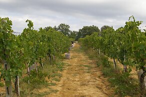 Agriturismo Le Baccane