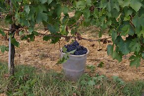 Agriturismo Le Baccane