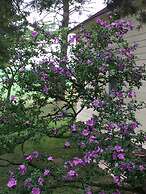 Carriage Stop Bed & Breakfast