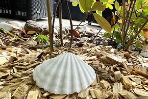 Croyde Wonky Cottage 1 Bedroom