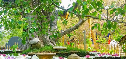 Silver Crown Nature Resort