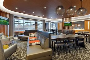 SpringHill Suites by Marriott Chattanooga South/Ringgold, GA