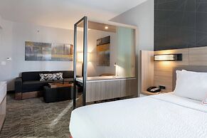 SpringHill Suites by Marriott Chattanooga South/Ringgold, GA
