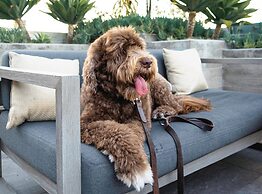 AC Hotel by Marriott Beverly Hills