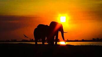 Elephant Trail Guesthouse and Backpackers