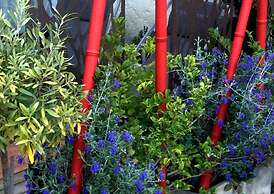 Mas de Provence en Riviera