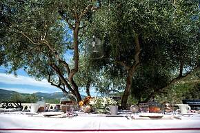 Mas de Provence en Riviera