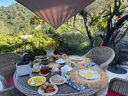 Mas de Provence en Riviera