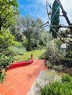 Mas de Provence en Riviera