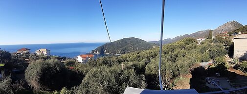 Olive Tree Apartment