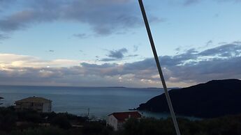 Olive Tree Apartment