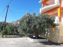 Olive Tree Apartment
