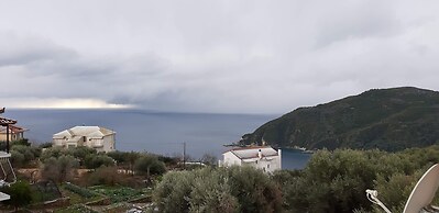 Olive Tree Apartment