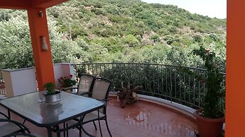 Olive Tree Apartment