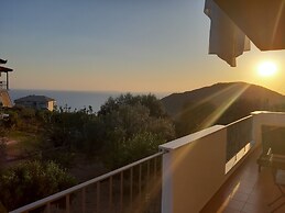 Olive Tree Apartment