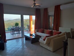 Olive Tree Apartment