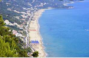 Olive Tree Apartment