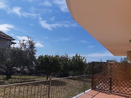 Olive Tree Apartment