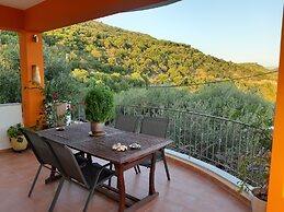 Olive Tree Apartment