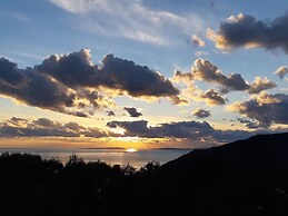 Olive Tree Apartment