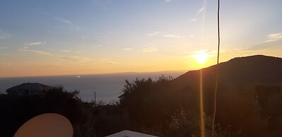 Olive Tree Apartment