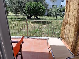 Olive Tree Apartment