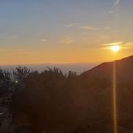 Olive Tree Apartment