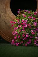 Palmina Mare Villa and Studios