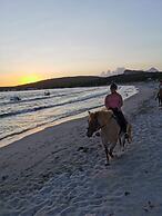 Palmina Mare Villa and Studios