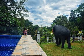 Eagle Regency Boutique Hotel