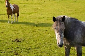Bishops Tawton Overton House 2 Bedrooms