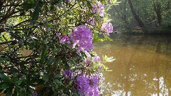 Auberge Des VoyaJoueurs