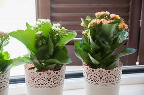 Bed and Breakfast Longobardi