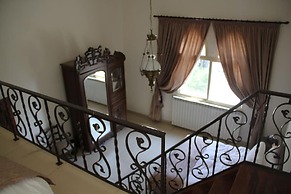 Lemir Faisal Arslan Stay at the Museum