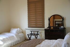 Lemir Faisal Arslan Stay at the Museum