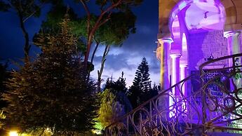 Lemir Faisal Arslan Stay at the Museum