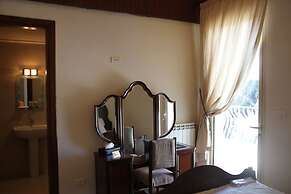 Lemir Faisal Arslan Stay at the Museum