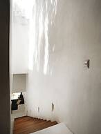 The Mayan Jungle House