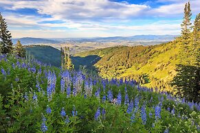 The Residences at Blackstone