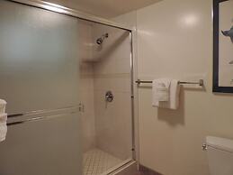 Polo Beach Club Vacation Rentals - APlus Resorts