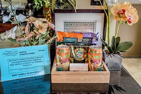 Polo Beach Club Vacation Rentals - APlus Resorts