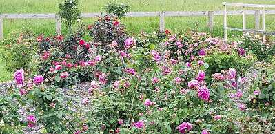 BRUNTWOODLODGE - Adults Only