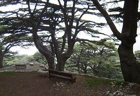 Boustany Guest House - Hostel