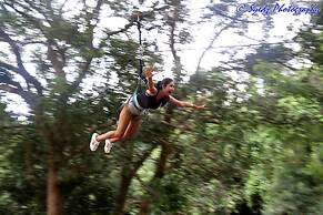 Shangri La Jungle Resort