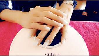 Airport Royal Guest House